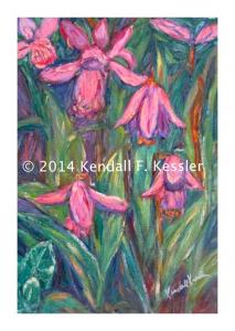 Blue Ridge Parkway Artist is getting Sprayed and Wrong Trap...