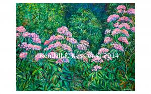 Rhododendrons on Black Rock Hill On The Blue Ridge Parkway and Clyde Kessler Poem to be accepted into an Anthology