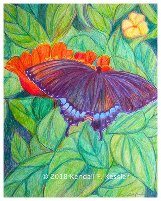 Blue Ridge Parkway Artist  is Having a Rough Day