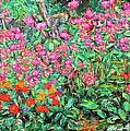 Radford Flower Garden